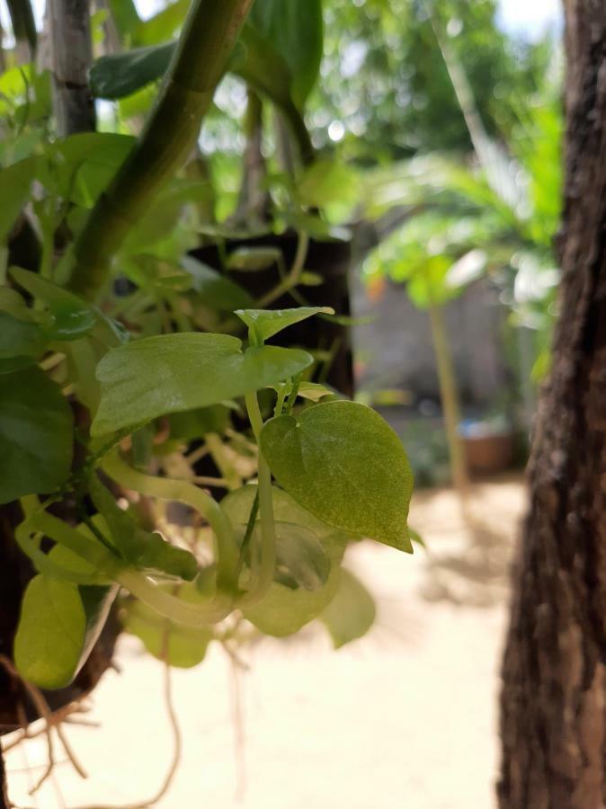 Connect Apartman Phan Thiet Kültér fotó