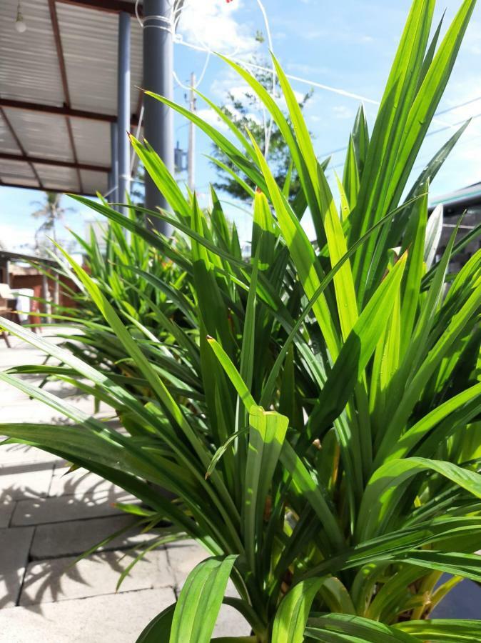 Connect Apartman Phan Thiet Kültér fotó